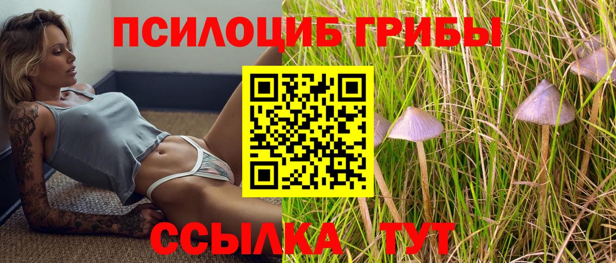 Фурманов  Псилоцибиновые грибы Magic Shrooms  Вход с VPN 