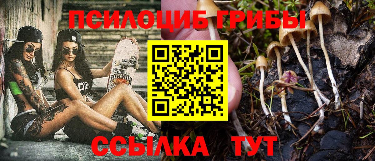 Галлюциногенные грибы Magic Shrooms Фурманов